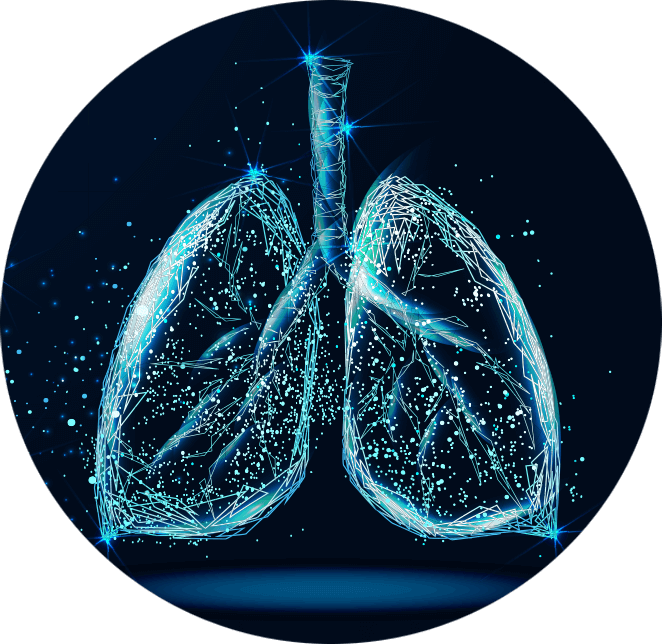 lung graphic